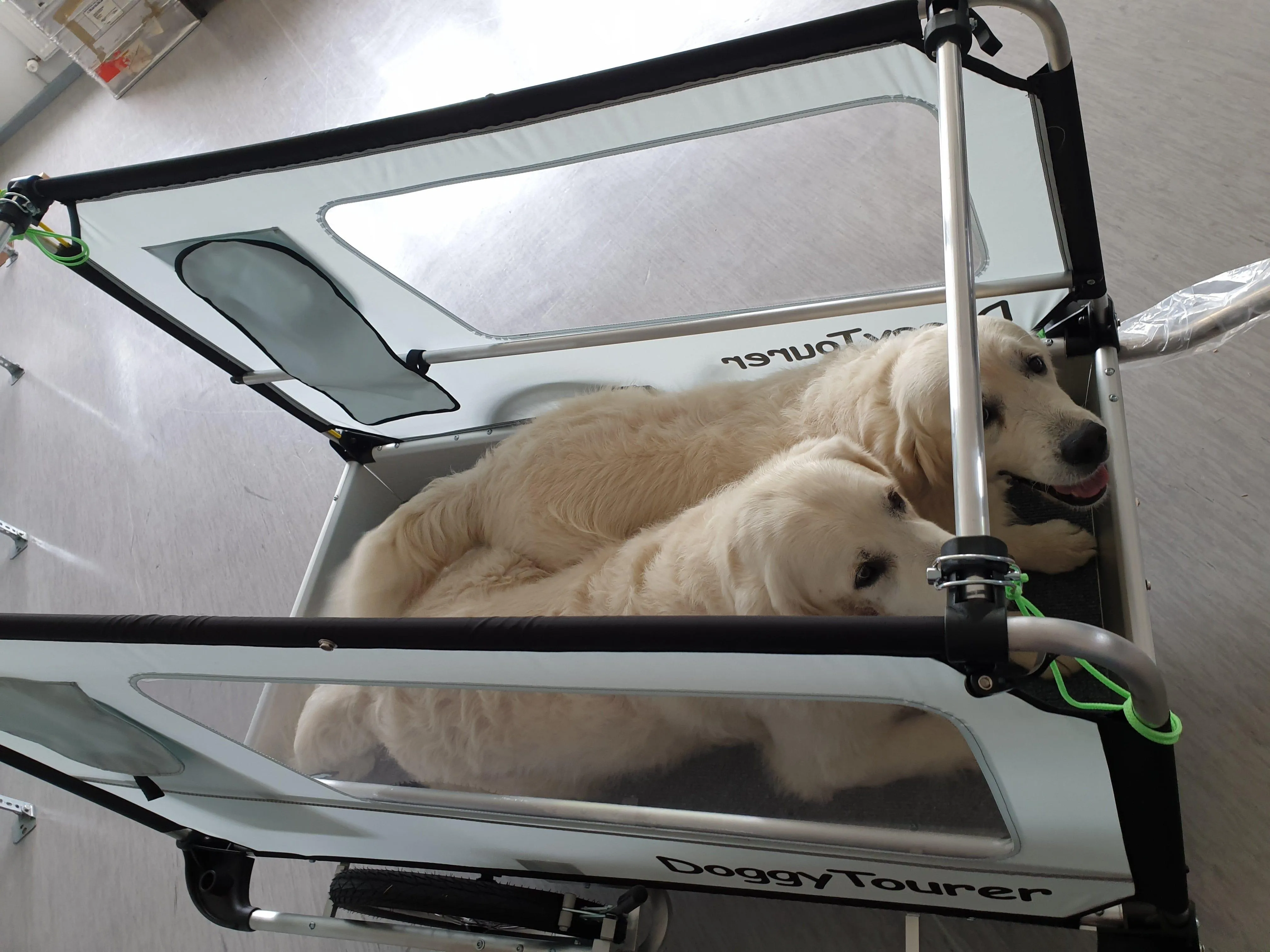 DoggyTourer | Dog Bike Trailer | Beethoven | XL