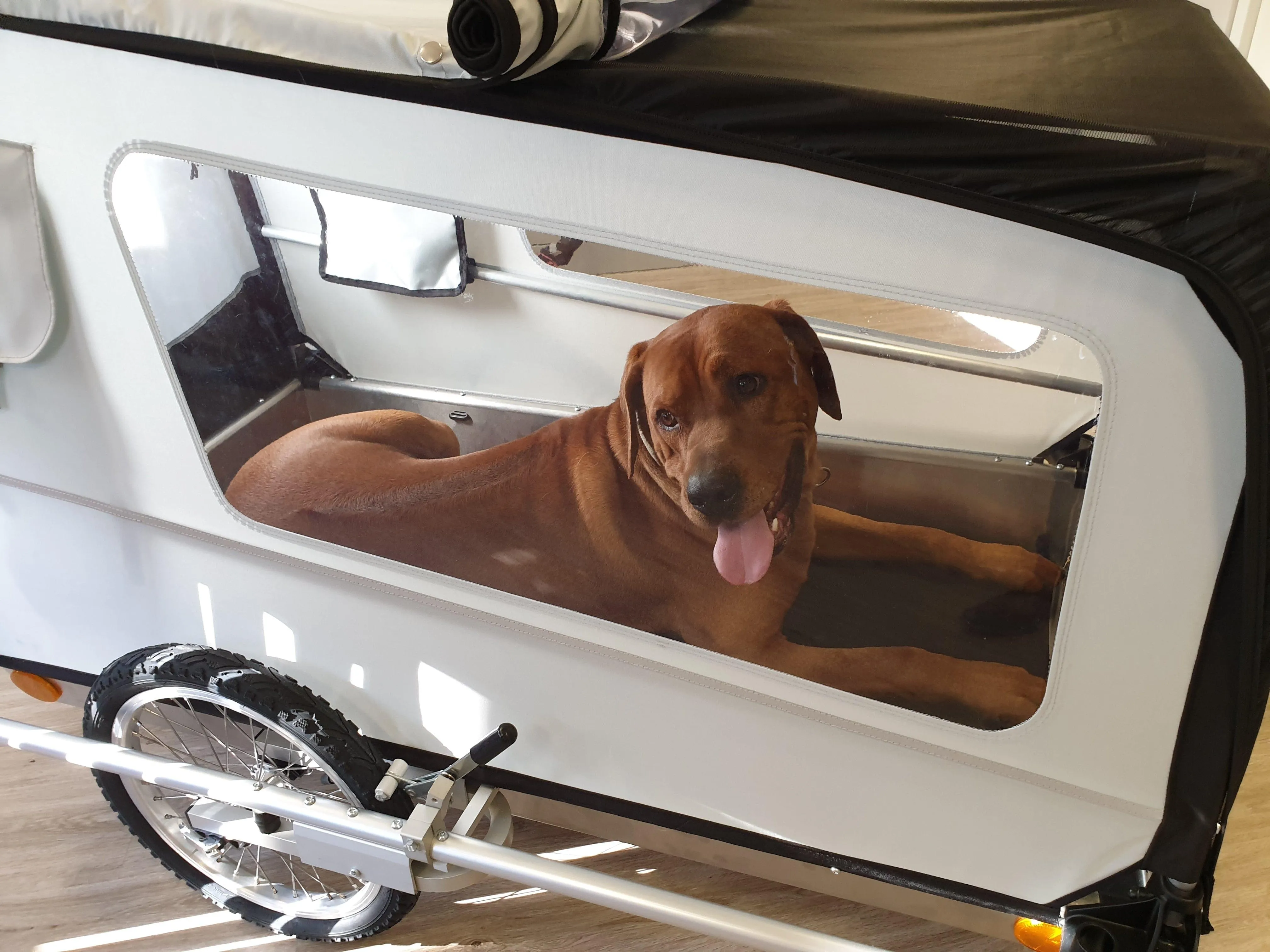 DoggyTourer | Dog Bike Trailer | Beethoven | XL